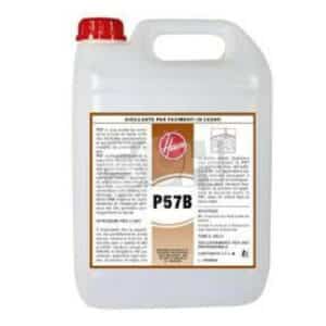 Vitrificador Pavimentos de Madeira Hoover P57B 5LT